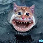Pussy Dentata