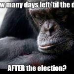 As you can see, the suspense is killing me. The Chinese are setting up house in the Spratlys, Syria's burning, no one cares.   | How many days left 'til the day; AFTER the election? | image tagged in koko,election,politics,china,war | made w/ Imgflip meme maker