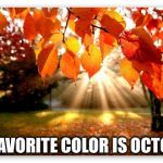 autumn forest | MY FAVORITE COLOR IS OCTOBER | image tagged in autumn forest | made w/ Imgflip meme maker