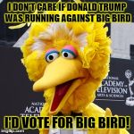 Big Bird | I DON'T CARE IF DONALD TRUMP WAS RUNNING AGAINST BIG BIRD; I'D VOTE FOR BIG BIRD! | image tagged in memes,big bird | made w/ Imgflip meme maker