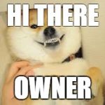 doge | HI THERE; OWNER | image tagged in doge | made w/ Imgflip meme maker
