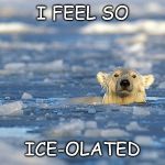 A Cool Pun | I FEEL SO; ICE-OLATED | image tagged in polar bear swim | made w/ Imgflip meme maker