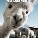 llamas | YOUR SIDE MAY 
LOSE.  IF SO, PLEASE GET LARYNGITIS. | image tagged in llamas | made w/ Imgflip meme maker