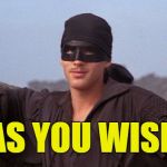 As You Wish | AS YOU WISH | image tagged in dread pirate roberts,memes,as you wish | made w/ Imgflip meme maker
