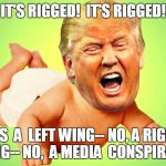 Baby Trump | IT'S RIGGED!  IT'S RIGGED! IT'S  A  LEFT WING-- NO, A RIGHT WING-- NO,  A MEDIA  CONSPIRACY! | image tagged in baby trump | made w/ Imgflip meme maker