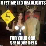 Deer | LIFETIME LED HEADLIGHTS; FOR YOUR CAR, SEE MORE DEER | image tagged in deer | made w/ Imgflip meme maker