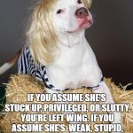 Blonde Wig Dog | YOUR BLONDE PREJUDICE SAYS A LOT ABOUT YOU; IF YOU ASSUME SHE'S STUCK UP, PRIVILEGED, OR SLUTTY, YOU'RE LEFT WING. IF YOU ASSUME SHE'S  WEAK, STUPID, OR SPOILED, YOU'RE RIGHT WING. IF YOU ASSUME SHE'S EVIL OR CRAZY, YOU'RE EVIL OR CRAZY. | image tagged in blonde wig dog | made w/ Imgflip meme maker