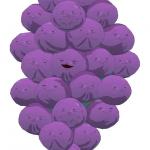 Memberberries