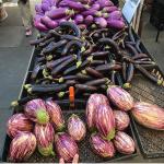 Eggplants dm 