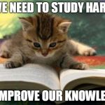 Cats Study hard | WE NEED TO STUDY HARD; TO IMPROVE OUR KNOWLEDGE | image tagged in memes,cats | made w/ Imgflip meme maker