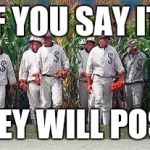 Field of dreams | IF YOU SAY IT; THEY WILL POST | image tagged in field of dreams | made w/ Imgflip meme maker