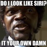 What do I look like? | DO I LOOK LIKE SIRI? FIND IT YOUR OWN DAMN SELF | image tagged in samuel jackson,what do i look like | made w/ Imgflip meme maker