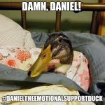 Damn, Daniel!  | DAMN, DANIEL! #DANIELTHEEMOTIONALSUPPORTDUCK | image tagged in daniel the duck,damn daniel,emotional support duck,cute,duck,meme | made w/ Imgflip meme maker
