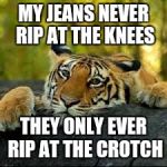 Confession Tiger | MY JEANS NEVER RIP AT THE KNEES; THEY ONLY EVER RIP AT THE CROTCH | image tagged in confession tiger,lenny kravitz,dumb meme weekend | made w/ Imgflip meme maker