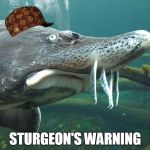 Sturgeon's Warning | STURGEON'S WARNING | image tagged in sturgeon's warning,scumbag | made w/ Imgflip meme maker
