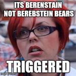 Femanazi triggered  | ITS BERENSTAIN NOT BEREBSTEIN BEARS; TRIGGERED | image tagged in femanazi triggered | made w/ Imgflip meme maker
