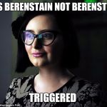 triggered | IT'S BERENSTAIN NOT BERENSTEIN; TRIGGERED | image tagged in triggered | made w/ Imgflip meme maker
