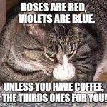 coffee bird | ROSES ARE RED,  
VIOLETS ARE BLUE. UNLESS YOU HAVE COFFEE, THE THIRDS ONES FOR YOU! | image tagged in cat middle finger,morning,coffee,funny | made w/ Imgflip meme maker
