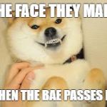 doge | THE FACE THEY MAKE; WHEN THE BAE PASSES BY. | image tagged in doge | made w/ Imgflip meme maker