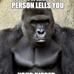 Harambe | WHEN A RANDOM PERSON LELLS YOU; YOUR RIPPED | image tagged in harambe | made w/ Imgflip meme maker