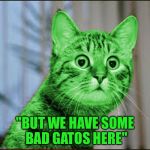 Radioactive comments everywhere! | "BUT WE HAVE SOME BAD GATOS HERE" | image tagged in raycat wtf,memes,donald trump,presidential debate | made w/ Imgflip meme maker