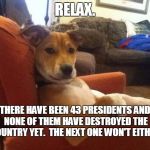 Relaxed Dog | RELAX. THERE HAVE BEEN 43 PRESIDENTS AND NONE OF THEM HAVE DESTROYED THE COUNTRY YET.  THE NEXT ONE WON'T EITHER. | image tagged in relaxed dog | made w/ Imgflip meme maker