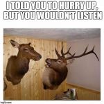 Deers Couple | I TOLD YOU TO HURRY UP, BUT YOU WOULDN'T LISTEN | image tagged in deers couple | made w/ Imgflip meme maker
