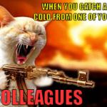 KillerCat | WHEN YOU CATCH A COLD FROM ONE OF YOUR; COLLEAGUES | image tagged in killercat | made w/ Imgflip meme maker