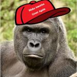 Harambe Hambre