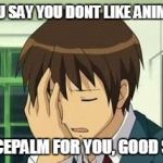 Facepalm | YOU SAY YOU DONT LIKE ANIME? FACEPALM FOR YOU, GOOD SIR | image tagged in anime | made w/ Imgflip meme maker