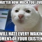 Srs cat | NO MATTER HOW MUCH YOU LOVE ME; I WILL HATE EVERY WAKING MOMENT OF YOUR EXISTENCE | image tagged in srs cat,philosoraptor,the most interesting man in the world,hardcore,boardroom meeting suggestion | made w/ Imgflip meme maker