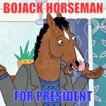 Bojack Horseman | BOJACK HORSEMAN; FOR PRESIDENT | image tagged in bojack horseman | made w/ Imgflip meme maker