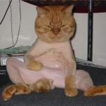 shaved pussy