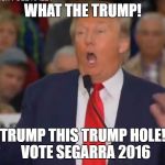 Political "Trump Card" | WHAT THE TRUMP! TRUMP THIS TRUMP HOLE! 
VOTE SEGARRA 2016 | image tagged in political trump card | made w/ Imgflip meme maker