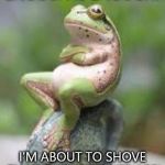 Fed Up Frog | ENOUGH IS ENOUGH! I'M ABOUT TO SHOVE THAT PHONE UP HER ASS! | image tagged in fed up frog | made w/ Imgflip meme maker