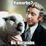 Obscure, and receding like flotsam in a ship's wake, yet Harambe, as subject & punch line, echoes on and on.  | Hamarbe? No, Harambe. | image tagged in baaa,harambe,echo,gene wilder | made w/ Imgflip meme maker