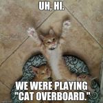 3 kittens | UH, HI. WE WERE PLAYING "CAT OVERBOARD." | image tagged in 3 kittens | made w/ Imgflip meme maker