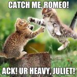kittens | CATCH ME, ROMEO! ACK! UR HEAVY, JULIET! | image tagged in kittens | made w/ Imgflip meme maker