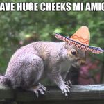Max squirell | I HAVE HUGE CHEEKS MI AMIGO! | image tagged in max squirell | made w/ Imgflip meme maker