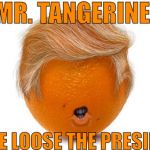 Trump the Tangerine | HEY, MR. TANGERINE MAN; PLEASE LOOSE THE PRESIDENCY | image tagged in trump the tangerine | made w/ Imgflip meme maker