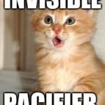 Funny animals | INVISIBLE; PACIFIER | image tagged in funny animals | made w/ Imgflip meme maker