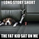 funny dog back seat | LONG STORY SHORT; THE FAT KID SAT ON ME | image tagged in funny dog back seat | made w/ Imgflip meme maker