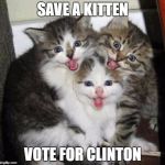 Happy kittens  | SAVE A KITTEN; VOTE FOR CLINTON | image tagged in happy kittens | made w/ Imgflip meme maker