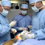 Surgeons at work during surgery