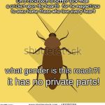 Cockroach Rights | what gender is this roach?! it has no private parts! | image tagged in cockroach rights | made w/ Imgflip meme maker