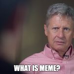 Gary Johnson Doesn't Get It | WHAT IS MEME? | image tagged in gary johnson doesn't get it | made w/ Imgflip meme maker