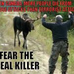 Be Afraid... | IN CANADA, MORE PEOPLE DIE FROM MOOSE ATTACKS THAN TERRORIST ATTACKS; FEAR THE REAL KILLER | image tagged in moose attack | made w/ Imgflip meme maker