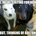 The pack | OK, WE'RE STAYING FOR NOW... BUT, THINKING OF BOLTON. | image tagged in the pack | made w/ Imgflip meme maker