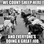 work sleep | WE COUNT SHEEP HERE; AND EVERYONE'S DOING A GREAT JOB | image tagged in work sleep | made w/ Imgflip meme maker