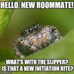 Misunderstood Spider | HELLO, NEW ROOMMATE! WHAT'S WITH THE SLIPPER? IS THAT A NEW INITIATION RITE? | image tagged in misunderstood spider | made w/ Imgflip meme maker